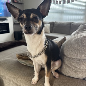 Fundraising Page: Amanda Martinez